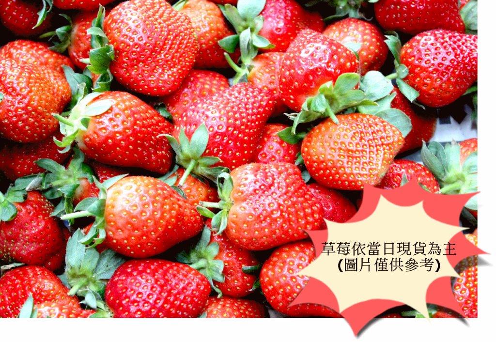 (臺南分署)3月7日舉辦法拍會新聞稿(相片-草莓)