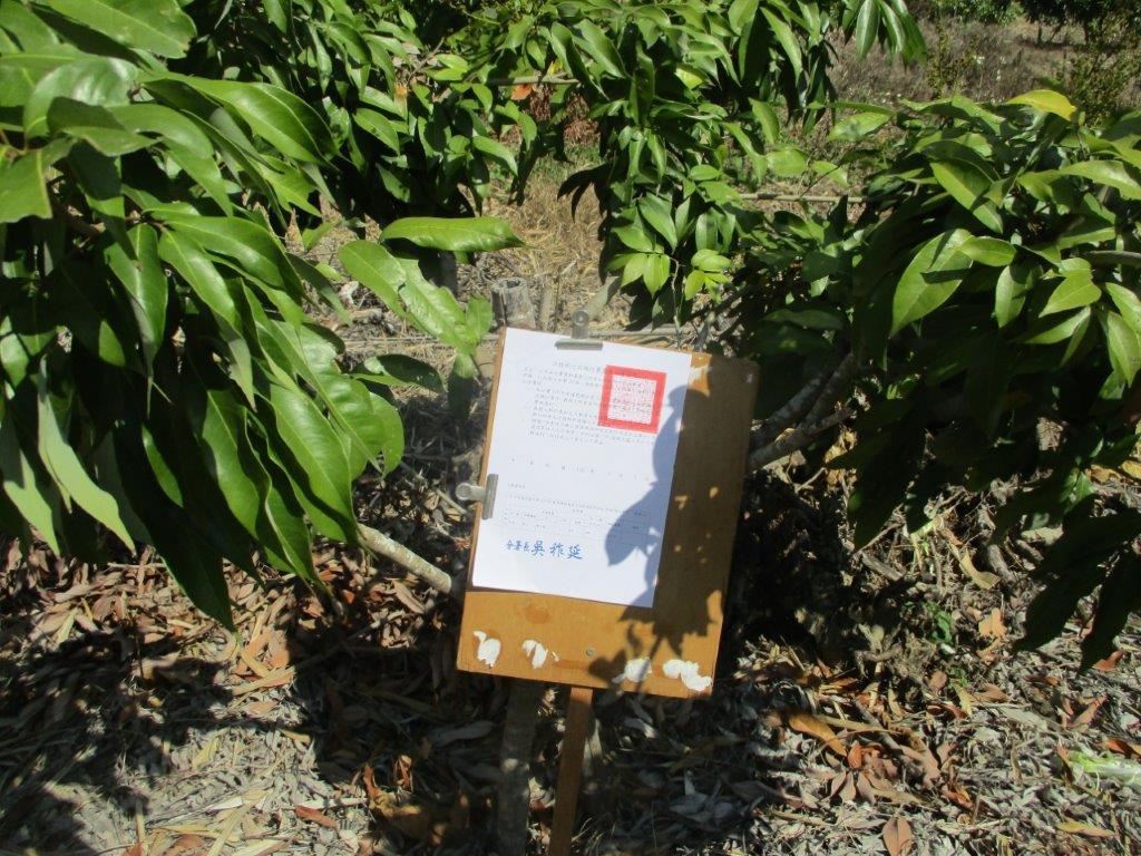 (臺南分署)執行酒駕罰鍰新聞稿(相片)1120605